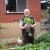 How to Garden and Grow Plants - Nurseries, Garden